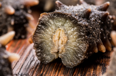 年终礼赠与冬季滋补观察：有机鲜炖海参何以成为健康消费的优选？