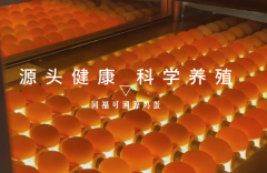 同福双网融合打通消费品产供销全链路